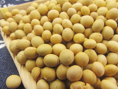 低温烘焙熟黄豆现磨豆浆原料散装批发直批豆浆商用磨粉熟豆子大豆图2