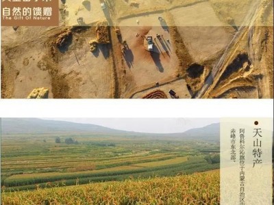 现货批发 内蒙古2021年新米赤峰黄小米杂粮小米5斤装黄小米图3