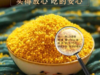 【黄小米500g 】汾都香 新米绿色杂粮农家粗粮孕妇月子宝宝粥图2
