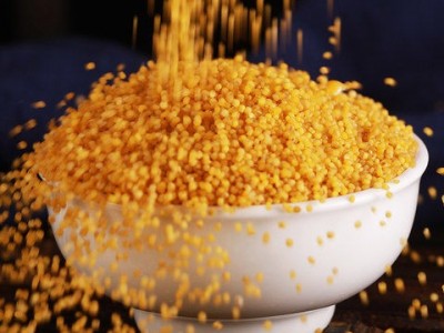 【黄小米500g 】汾都香 新米绿色杂粮农家粗粮孕妇月子宝宝粥图3