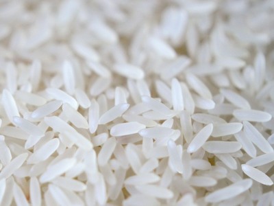 粮心一号马贝油粘米5公斤南方籼米5kg 优质大米批发 送礼礼品装图3