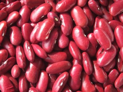 英国红芸豆手工挑选加工出口级好品质英国红芸豆图4