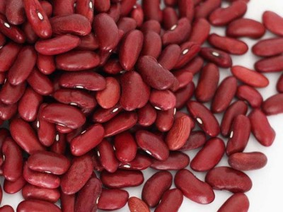 英国红芸豆手工挑选加工出口级好品质英国红芸豆图3