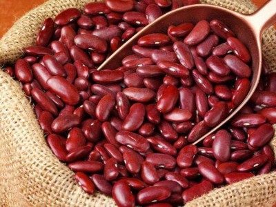 英国红芸豆手工挑选加工出口级好品质英国红芸豆图2