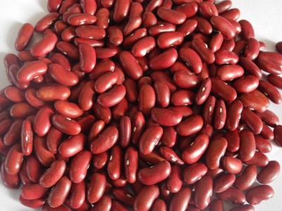 英国红芸豆手工挑选加工出口级好品质英国红芸豆图5