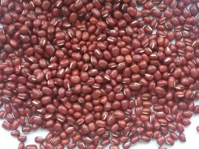农安红红豆可商检可出口5.5mm大颗粒抛光出口级高标准红小豆图3