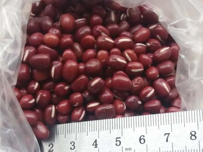 农安红红豆可商检可出口5.5mm大颗粒抛光出口级高标准红小豆图4