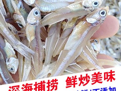 银鱼仔秋刀毛鱼刀干咸鱼干海燕鱼干摆地摊鱼新货公鱼干白凡鱼饭图4