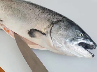 挪威三文鱼刺身中段新鲜生鱼片整条当天分割即食日料寿司三文鱼图3