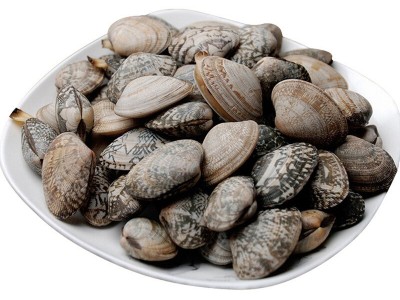 连云港花蛤贝类水产批发 海鲜花甲 鲜活花蛤无沙 冰鲜海产品大连图5