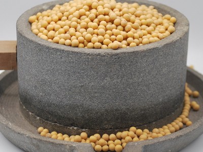 新东北大豆 蛋白质丰富 磨豆浆生豆芽 21年农家自产小粒黄豆批发图3