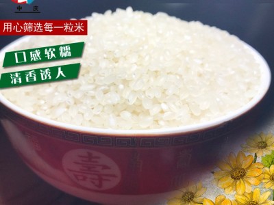 新米大米50斤装 苏香米25kg 产地批发 大米袋装现货批发图4