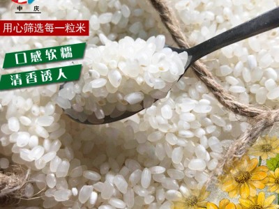 产地批发新米10kg袋装 供应9108河水灌溉 江苏大米20斤一件代发图4