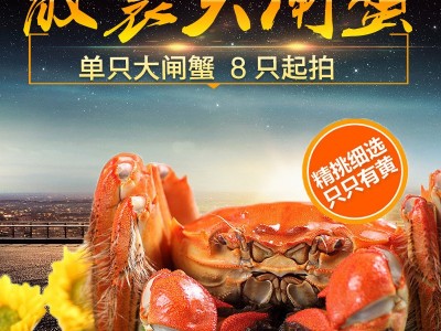散装大闸蟹全公蟹全母蟹单只鲜活螃蟹礼盒支持批发代发图2