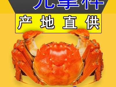 定制大闸蟹礼券提货卡6只礼盒精装螃蟹生鲜批发代发图4