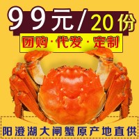 【一件代发】阳澄湖大闸蟹螃蟹卡礼券微商引流地推爆款礼物赠品