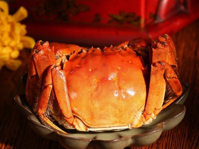 现货阳澄湖镇大闸蟹 公蟹4.5两3只母蟹3两3只礼盒装大闸蟹批发图2