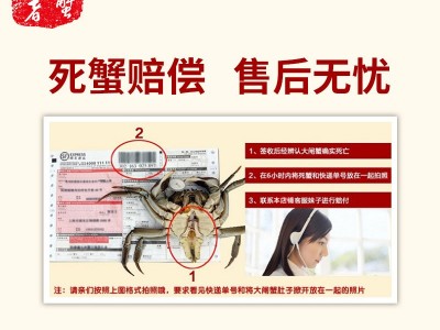 现货阳澄湖镇大闸蟹 公蟹3.5两4只母蟹2.5两4只礼盒装大闸蟹批发图4