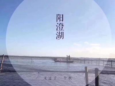 品质保证产地阳澄湖镇大闸蟹礼盒3.5公2.5母5对10装养殖场直销图5
