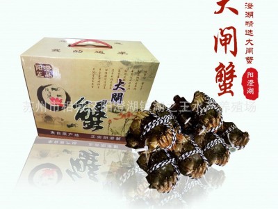 3公2母5对10只礼盒装苏州产地阳澄湖镇大闸蟹养殖场产地直销图2