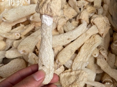 福建竹荪干货煲汤食材本色新货菌汤包食材图2