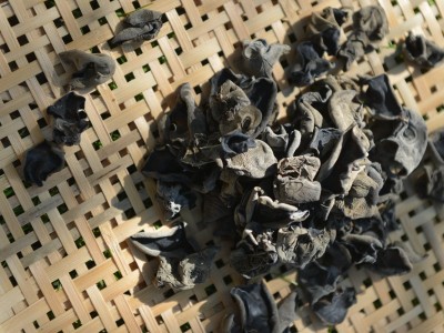 干木耳 农家干货特产自然山珍150g密封包装黑木耳批发零售图2