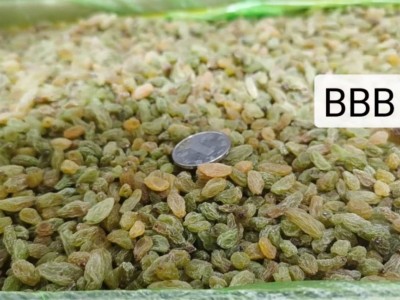 新疆绿葡萄干散装绿香妃青提休闲零食奶茶用吐鲁番直供美味葡萄干图4