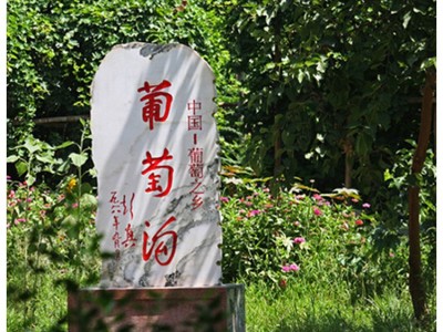 葡萄干新疆特产散装20斤1箱整件批奶茶店零食无籽无核小包装5斤图3