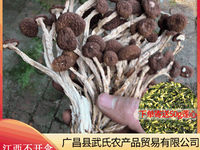 2022年新货江西五号茶树菇干货产地直销图1