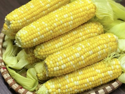产地货源云南水果玉米9斤装甘甜多汁可生吃甜玉米棒 新鲜水果批发图1