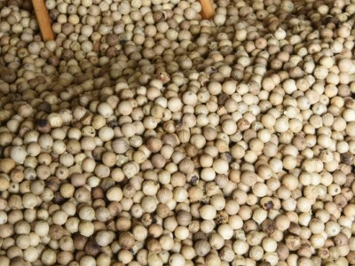 包邮海南白胡椒粒颗粒饱满郁胡椒颗粒辛辣芬芳自然加工图3