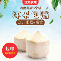 包邮文昌工厂直供海南椰子热带椰青9.6.4个装青椰甘甜爽口优选种