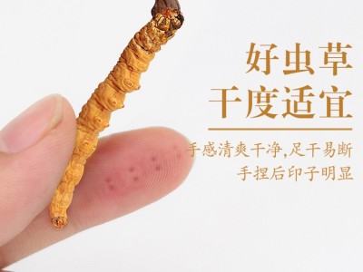 朕宗源 冬虫夏草西藏那曲虫草冻干虫草 冬虫夏草现货批发一件代发图3