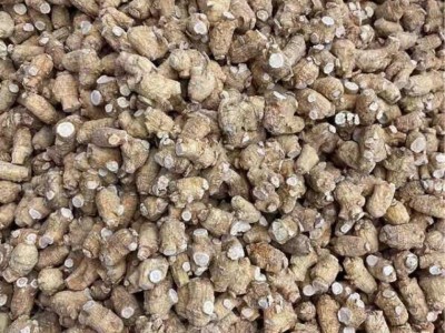 西洋参花旗参5克粒优选粒头图3