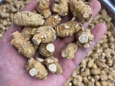 西洋参花旗参5克粒优选粒头图5