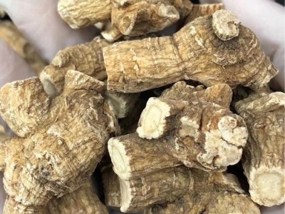 西洋参花旗参10克粒优选粒头图5