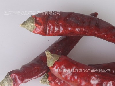 产地批发重庆特产石柱红五号辣椒另有火锅石柱红三号海椒中餐调料图5