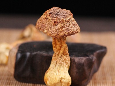 云南特产姬松茸干货批发食用巴西菇散装松茸菌食用姬松茸批发图2