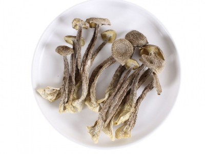 杜鹃特价包邮鹿茸菇干货500g鲜甜可口香味浓郁切根本色蘑菇鹿茸菌图4