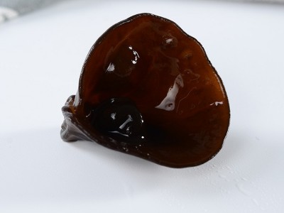 东北土特产散装黑木耳500g 椴木大碗耳基地批发走量木耳干货图4