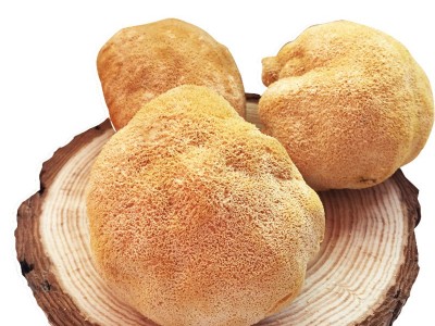 福建古田食用菌猴头菇 干货现烤现卖产地散装走量批发500g图5
