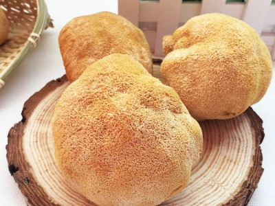 福建古田食用菌猴头菇 干货现烤现卖产地散装走量批发500g图2