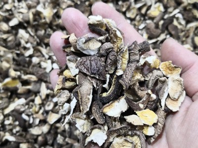 南北干货土特产干香菇500g 古田香菇河北黑面菇光面菇散装农产图5