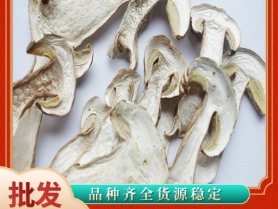特产牛肝菌 美味牛肝菌 水洗牛肝菌 食用牛肝菌批发图3