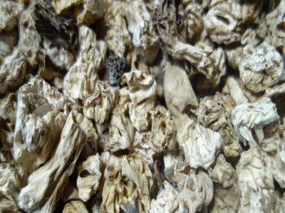 羊肚菌脚山珍菌菇野山菌脚现货批发云南菌菇产地直销图3