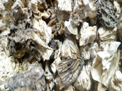 羊肚菌脚山珍菌菇野山菌脚现货批发云南菌菇产地直销图5