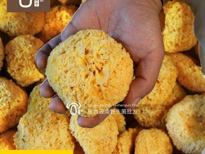 【小额批发】云南椴木小银耳人工精选优质好耳食用菌菇批发一件代图2