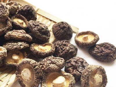 【厂家直供】新货特产干香菇金钱菇500g散装 金钱菇食用菌干货图2