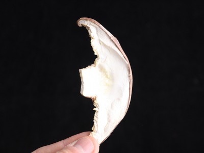 云南干香菇 食用菌 贴牌加工一件代发冬菇片小包装100克图4