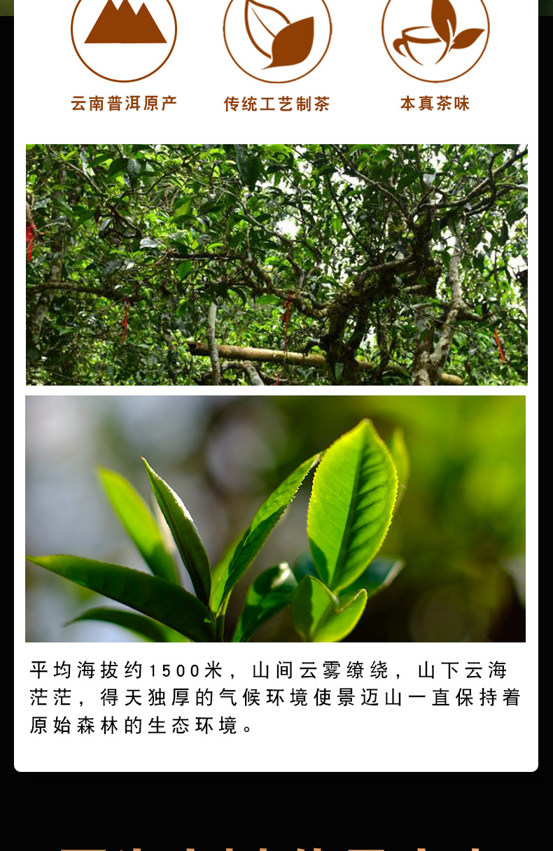 易武详情页_03.jpg